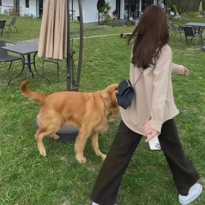 鬣狗式生存